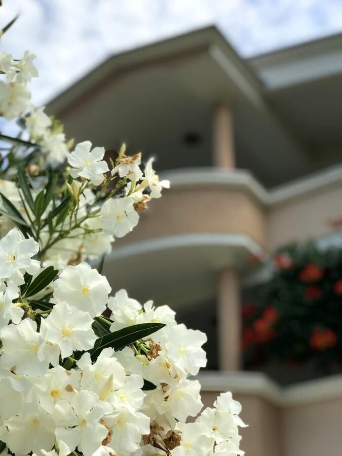 Гостевой дом Apartaments KRAJA Улцинь-20