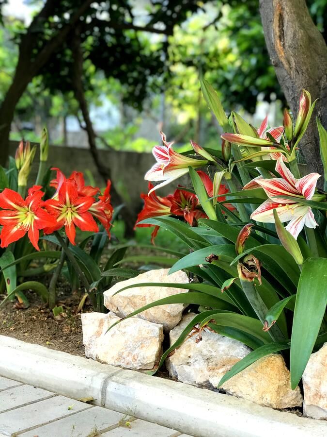 Гостевой дом Apartaments KRAJA Улцинь-26