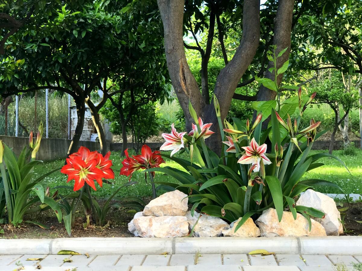 Гостевой дом Apartaments KRAJA Улцинь-27