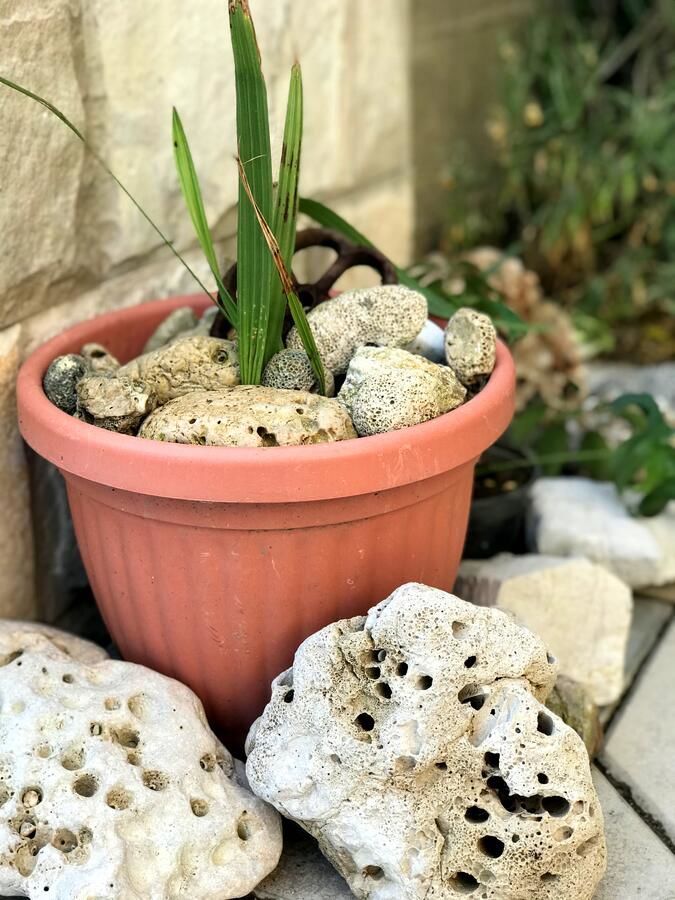 Гостевой дом Apartaments KRAJA Улцинь-29