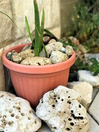 Гостевой дом Apartaments KRAJA Улцинь Трехместный номер с балконом-5