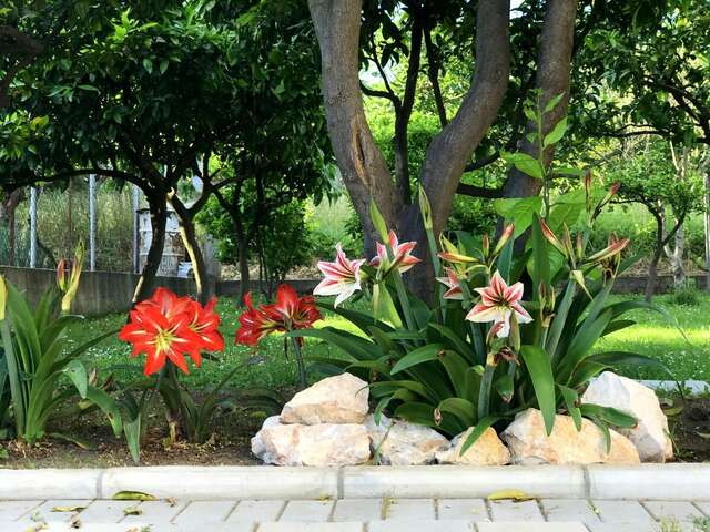 Гостевой дом Apartaments KRAJA Улцинь-26