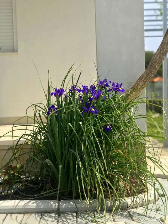 Гостевой дом Apartaments KRAJA Улцинь-27